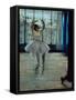 Ballerina at the Photographer's, c. 1877-78-Edgar Degas-Framed Stretched Canvas