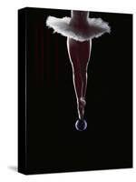 Ballerina Balancing on a Bubble-Charles Smith-Stretched Canvas