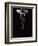 Ballerina Balancing on a Bubble-Charles Smith-Framed Photographic Print