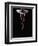 Ballerina Balancing on a Bubble-Charles Smith-Framed Photographic Print