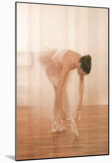 Ballerina Ballet Tie Shoes Art Print Poster Dance Prima-null-Mounted Poster