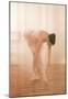 Ballerina Ballet Tie Shoes Art Print Poster Dance Prima-null-Mounted Poster