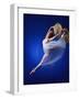 Ballerina Dancing-Dennis Degnan-Framed Photographic Print