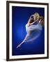 Ballerina Dancing-Dennis Degnan-Framed Photographic Print