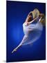 Ballerina Dancing-Dennis Degnan-Mounted Photographic Print