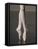 Ballerina en pointe-Erik Isakson-Framed Stretched Canvas