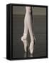Ballerina en pointe-Erik Isakson-Framed Stretched Canvas