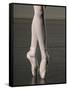 Ballerina en pointe-Erik Isakson-Framed Stretched Canvas