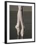 Ballerina en pointe-Erik Isakson-Framed Premium Photographic Print