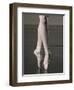 Ballerina en pointe-Erik Isakson-Framed Photographic Print