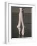 Ballerina en pointe-Erik Isakson-Framed Photographic Print