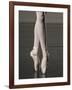 Ballerina en pointe-Erik Isakson-Framed Photographic Print