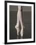 Ballerina en pointe-Erik Isakson-Framed Photographic Print