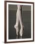 Ballerina en pointe-Erik Isakson-Framed Photographic Print