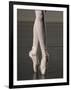 Ballerina en pointe-Erik Isakson-Framed Photographic Print