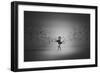 Ballerina Flight Of Birds-Mark Biwit-Framed Giclee Print
