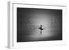 Ballerina Flight Of Birds-Mark Biwit-Framed Giclee Print