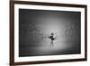 Ballerina Flight Of Birds-Mark Biwit-Framed Giclee Print