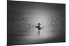 Ballerina Flight Of Birds-Mark Biwit-Mounted Giclee Print