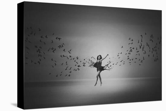 Ballerina Flight Of Birds-Mark Biwit-Stretched Canvas