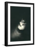 Ballerina from Above-null-Framed Art Print