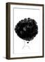 Ballerina Hair-1x Studio II-Framed Giclee Print