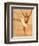 Ballerina II-Caroline Gold-Framed Art Print