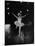 Ballerina Maria Tallchief Performing in "Swan Lake"-Ed Clark-Mounted Premium Photographic Print