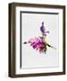 Ballerina on Stage Watercolor 4-Irina March-Framed Art Print