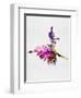 Ballerina on Stage Watercolor 4-Irina March-Framed Art Print