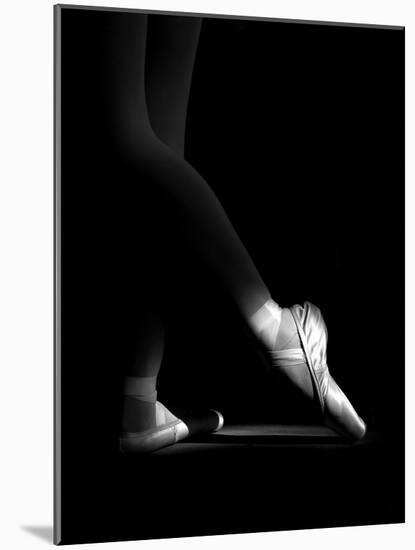 Ballerina Shoes-Paulo Medeiros-Mounted Photographic Print