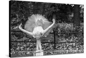 Ballerina Street Performer in Central Park, NYC-null-Stretched Canvas