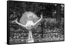 Ballerina Street Performer in Central Park, NYC-null-Framed Stretched Canvas