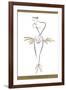 Ballerina-Ty Wilson-Framed Collectable Print