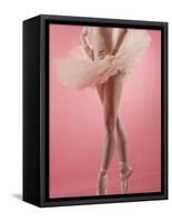 Ballerina-null-Framed Stretched Canvas