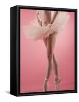 Ballerina-null-Framed Stretched Canvas