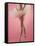 Ballerina-null-Framed Stretched Canvas