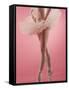 Ballerina-null-Framed Stretched Canvas