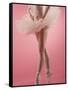 Ballerina-null-Framed Stretched Canvas