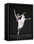 Ballerina-Erik Isakson-Framed Stretched Canvas