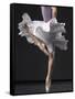 Ballerina-Erik Isakson-Framed Stretched Canvas