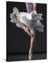 Ballerina-Erik Isakson-Stretched Canvas