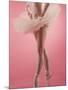 Ballerina-null-Mounted Photographic Print