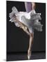 Ballerina-Erik Isakson-Mounted Photographic Print