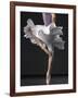 Ballerina-Erik Isakson-Framed Photographic Print