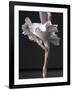 Ballerina-Erik Isakson-Framed Photographic Print