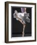 Ballerina-Erik Isakson-Framed Photographic Print