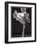 Ballerina-Erik Isakson-Framed Photographic Print