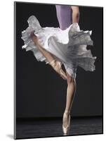 Ballerina-Erik Isakson-Mounted Photographic Print