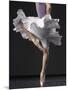 Ballerina-Erik Isakson-Mounted Photographic Print